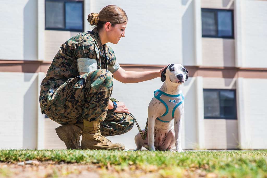 House Republicans Attack Reproductive Rights for Military Women