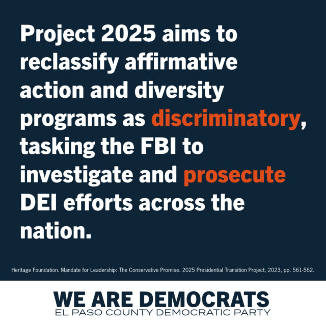 Project 2025 Democrat Branding-1