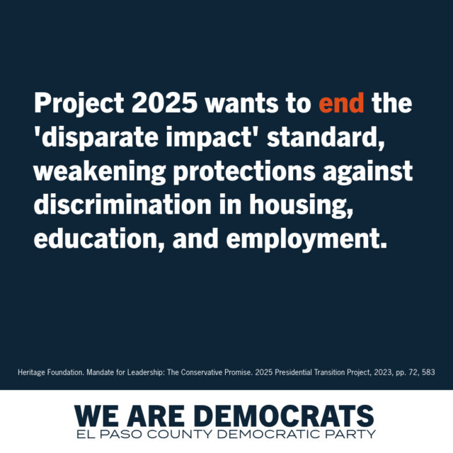 Project 2025 Democrat Branding-13