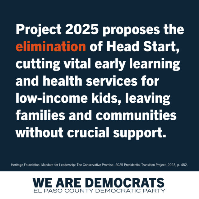 Project 2025 Democrat Branding-2