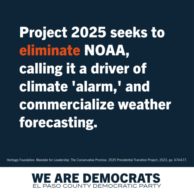 Project 2025 Democrat Branding-3