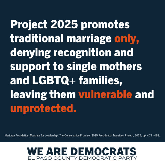 Project 2025 Democrat Branding-4