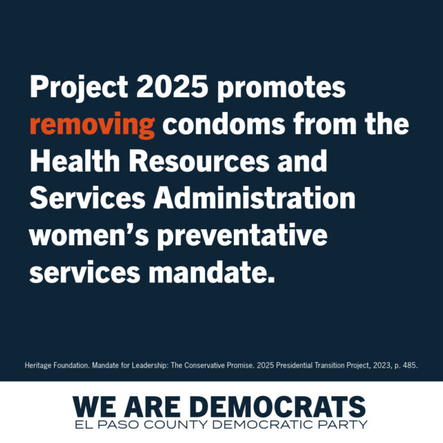 Project 2025 Democrat Branding-5