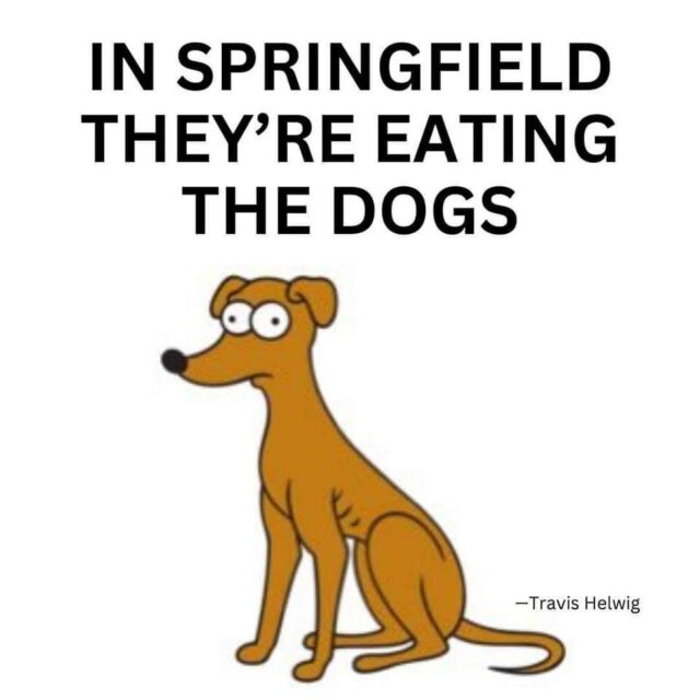 A simplistic cartoon image of a brown dog with wide eyes, looking startled, accompanied by bold text above that reads, "IN SPRINGFIELD THEY'RE EATING THE DOGS." The text is attributed to Travis Helwig.